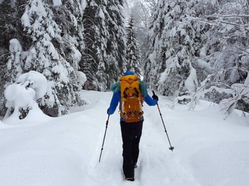 Snow Hiking